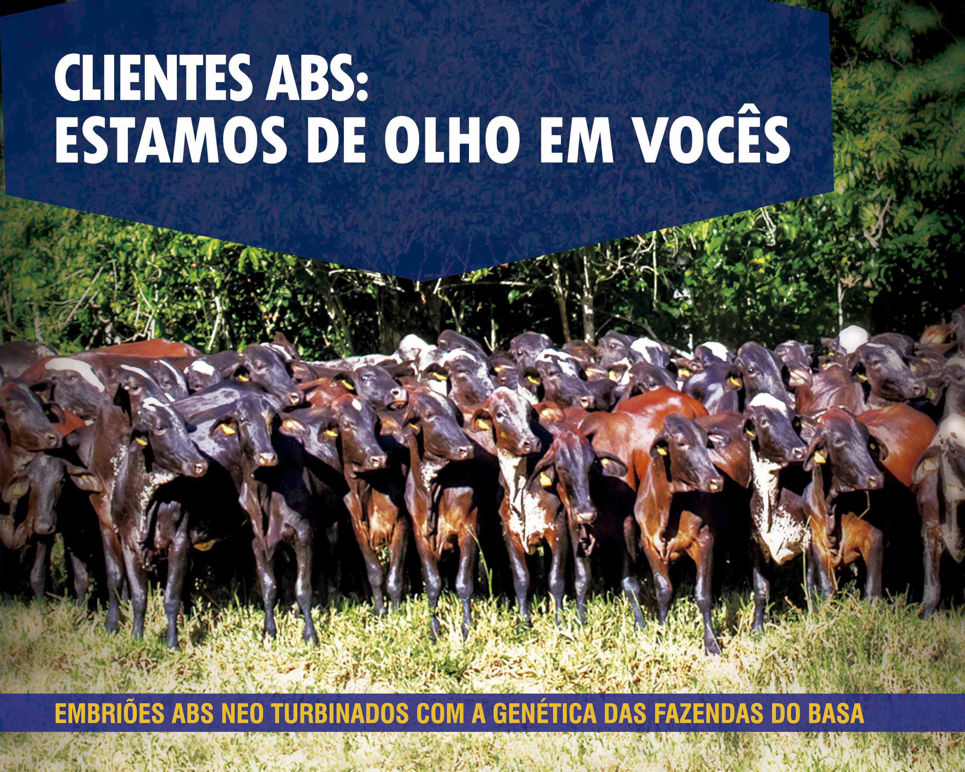 Fazendas do Basa é nova fornecedora de genética para o ABS NEO 