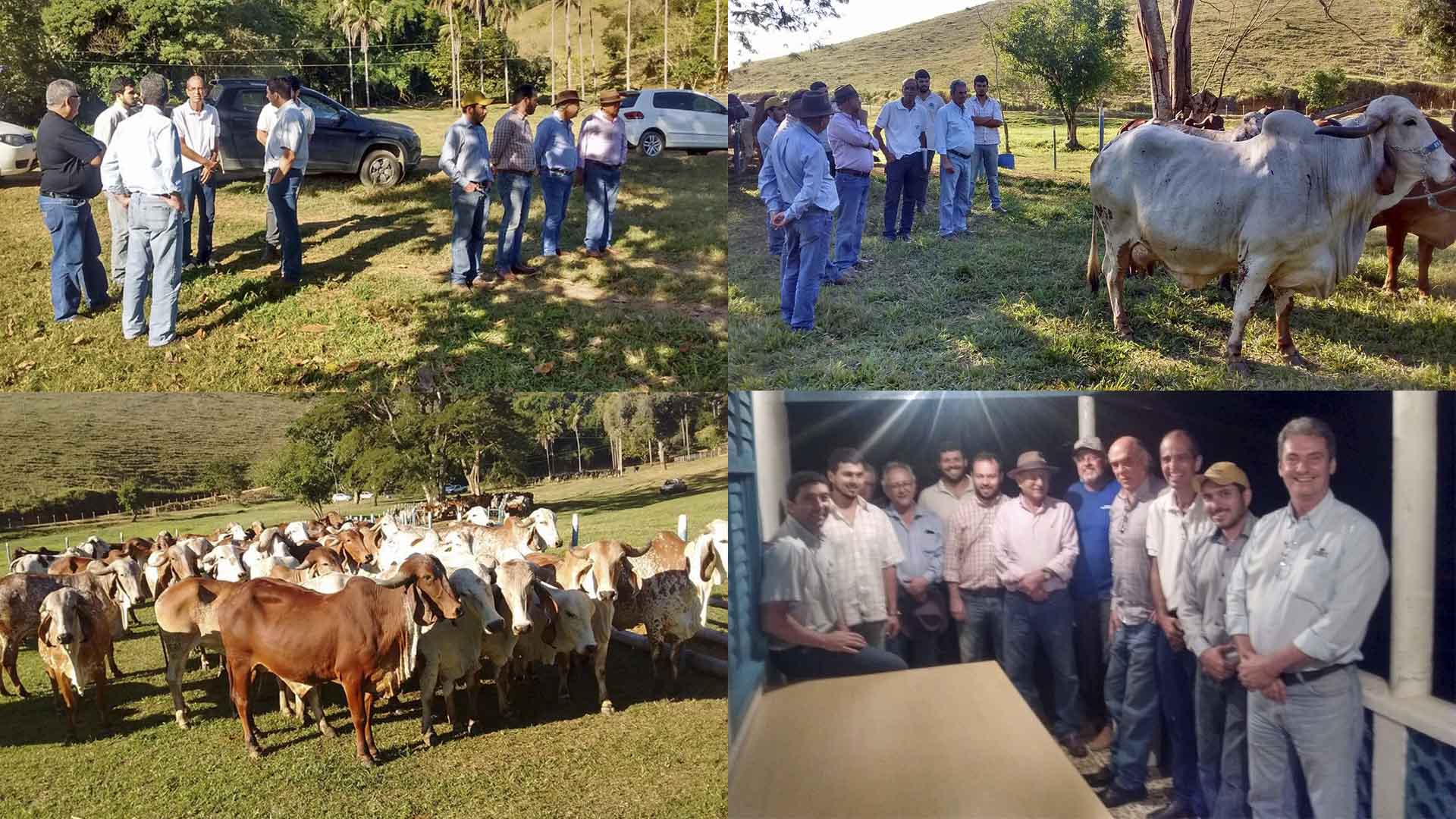 Girolando Sem Fronteiras e  SEMEX promovem visita técnica às Fazendas do BASA