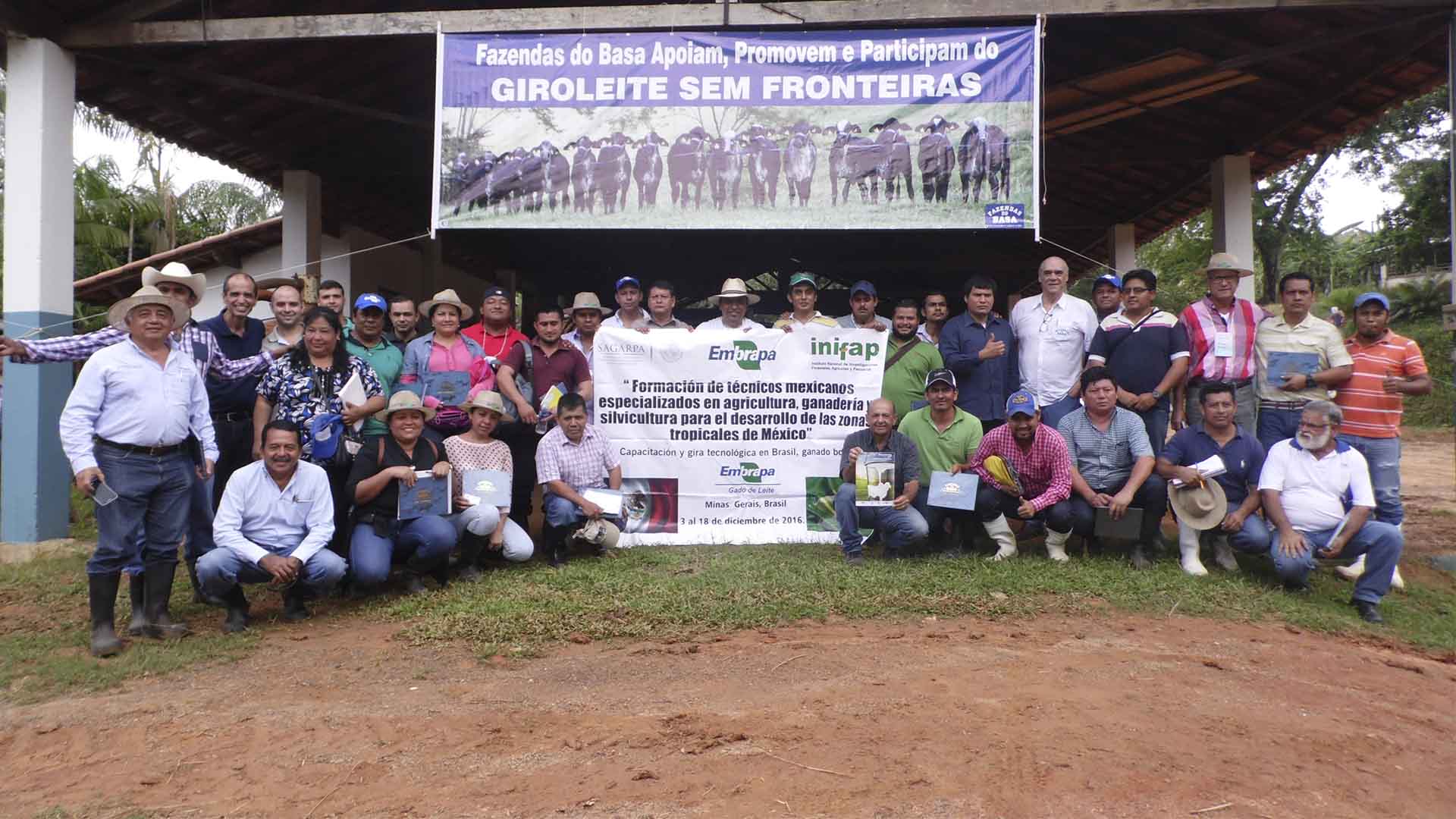 Extensionistas Mexicanos visitam as Fazendas do BASA na busca por pecuária leiteira evoluída