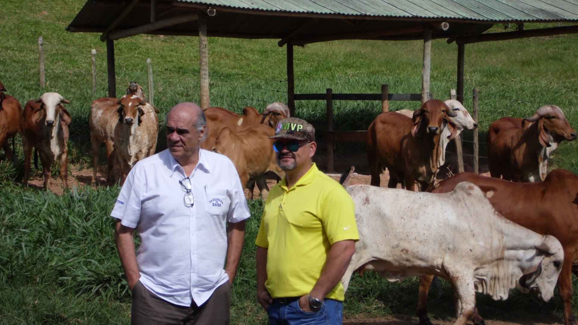 Fazendas do BASA recebem visita de parceiro venezuelano